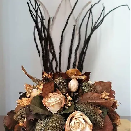 La Casa Del Viaggiatore Feriehus *